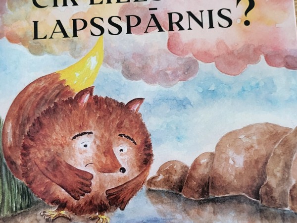 Cik liels ir lapsspārnis?