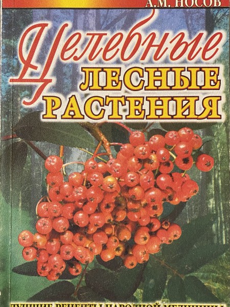 Целебные лесные растения