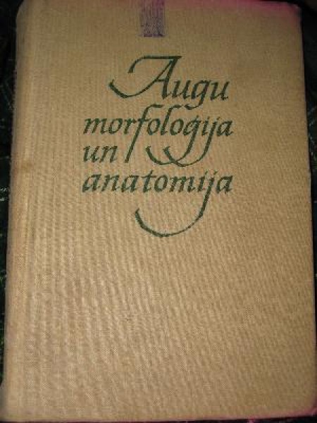 Augu morfoloģija un anatomija