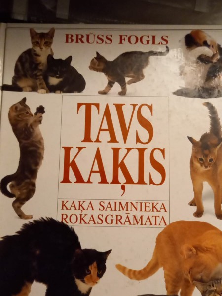 Tavs kaķis