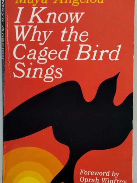 I Know Why the Caged Bird Sings