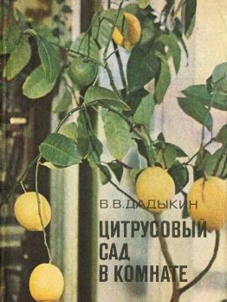 Цитрусовый сад в комнате