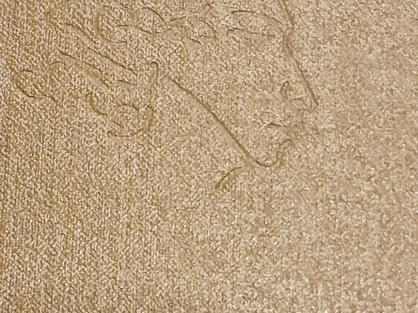 Puškins Kopoti raksti