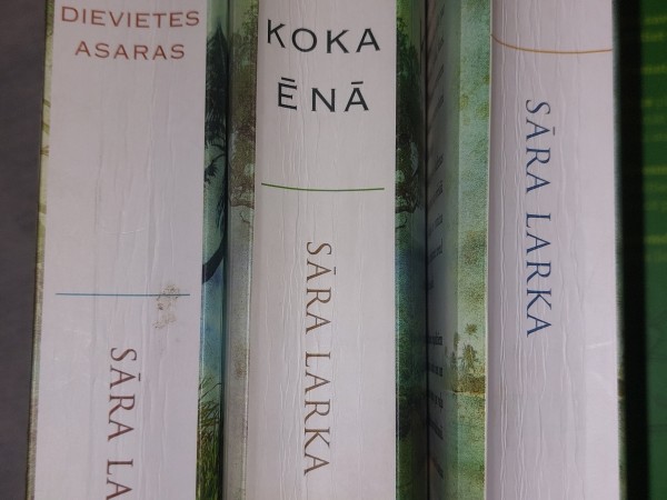 Maoru zelts,Kauri koka ēnā,Maoru dievietes asaras