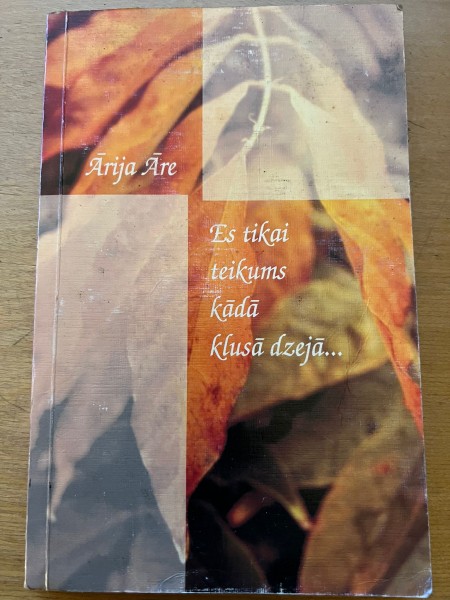 Es tikai teikums kādā klusā dzejā...