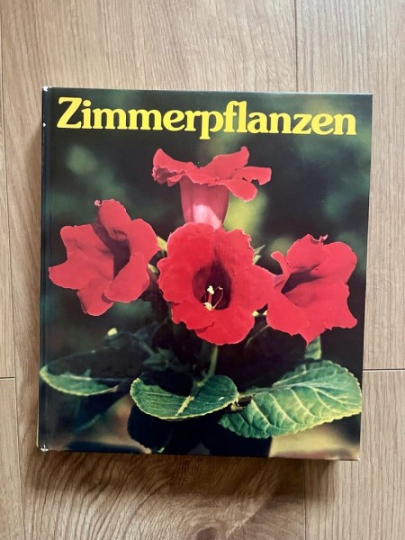 Zimmerpflanzen