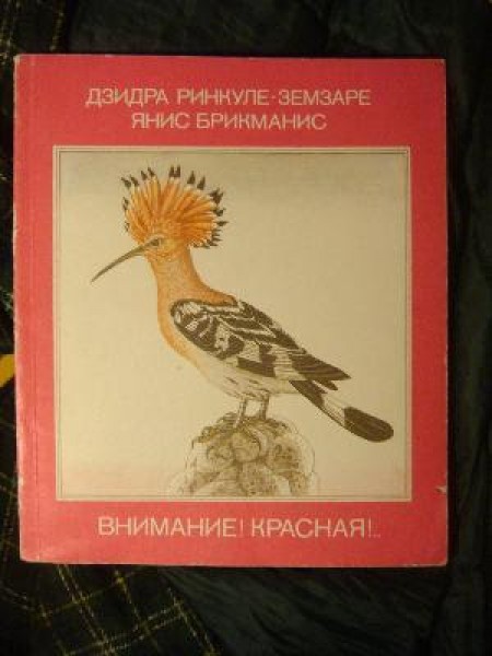 Внимание! Красная!