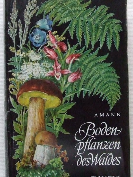 Bodenpflanzen des Waldes/Meža augi - Centrāleiropas meža ievērojamākās sēnes, ķērpji, sūnas, paparde