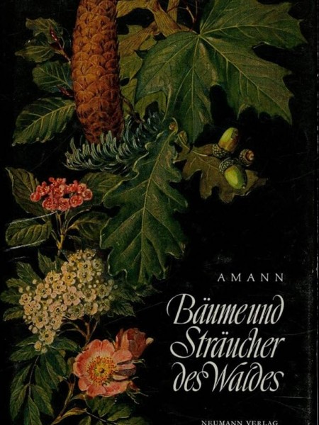 Bäume und Sträucher des Waldes/Koki un krūmi mežā