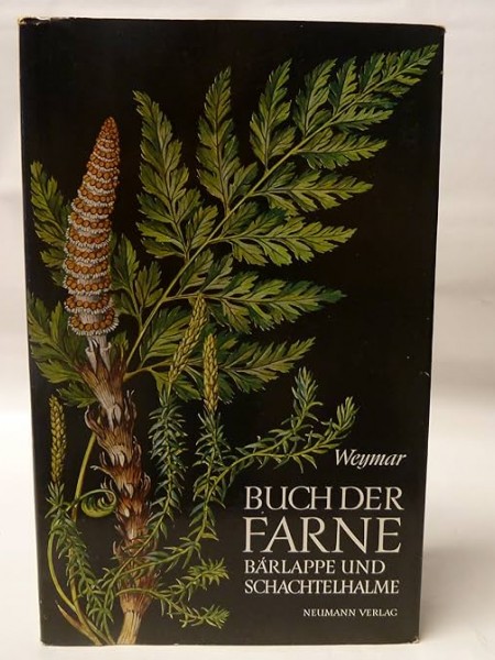 Buch der Farne, Bärlappe und Schachtelhalme/Papardes un sūnas Vācijā savvaļā