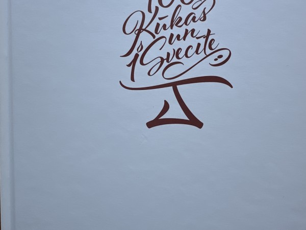 100 kūkas un 1 svecīte