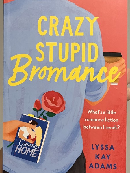 Crazy Stupid Bromance