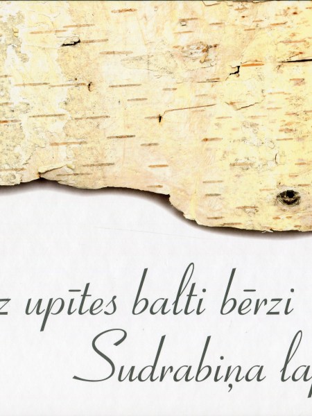 Aiz upītes balti bērzi sudrabiņa lapiņām