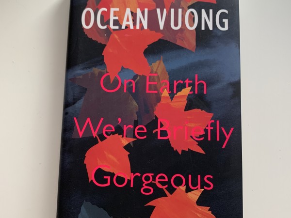 On Earth We're Briefly Gorgeous