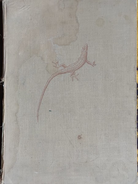 Aus dem Leben der Reptilien