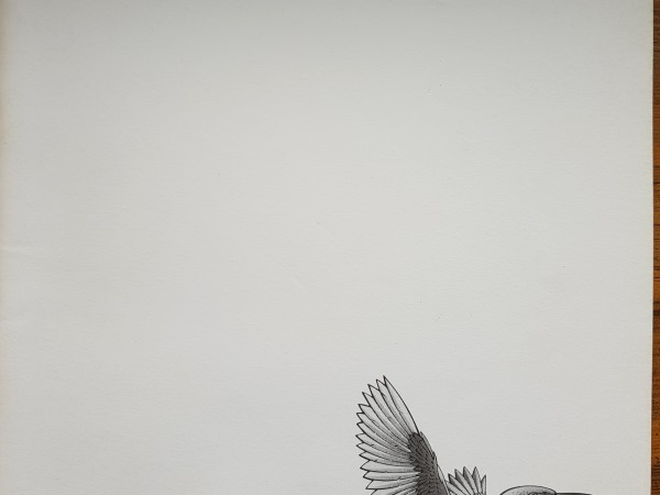 Discoveries Grammar Practice 2