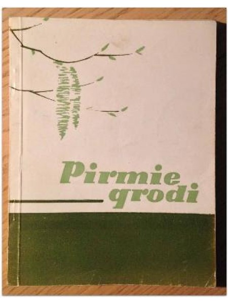 Pirmie grodi