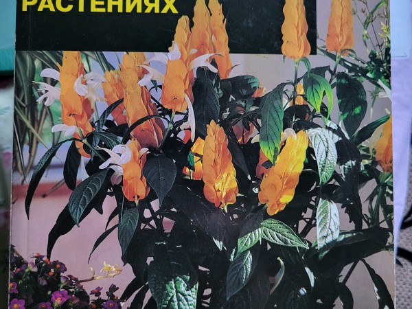 Все о комнатных растениях