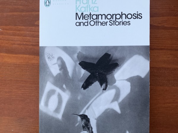Metamorphosis and Other Stories
