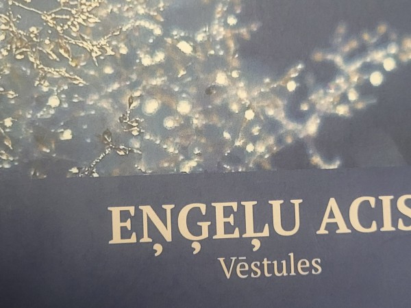 Eņģeļu acis. Vēstules. 2.grāmata