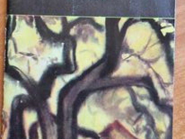 Rūdolfa Blaumaņa memoriālais muzejs 