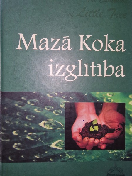 Mazā Koka izglītība