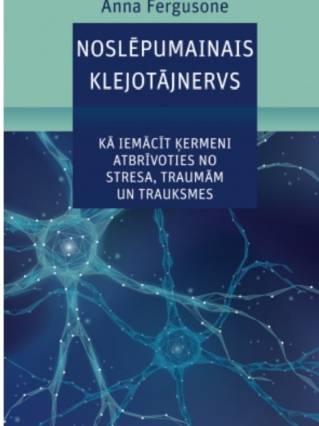 Noslēpumainais klejotājnervs