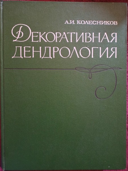 ДЕКОРАТИВНАЯ ДЕНДРОЛОГИЯ