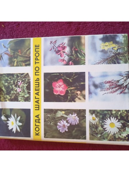 КОГДА ШАГАЕШЬ ПО ТРОПЕ