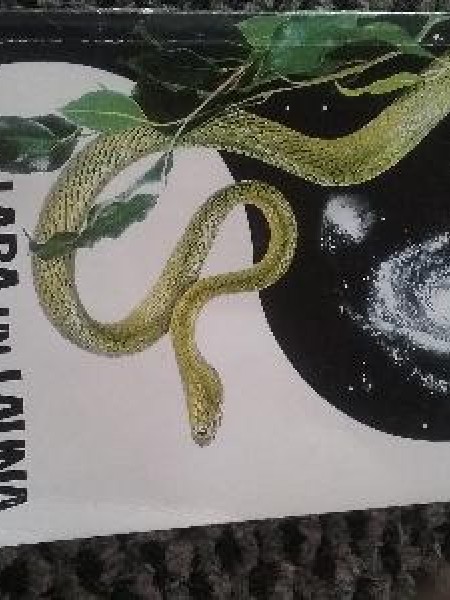 Laba un ļauna atzīšanas koks