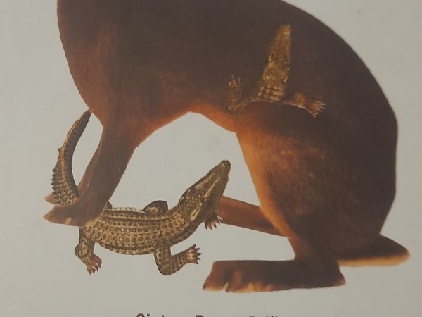 Vēstures patiesā seja