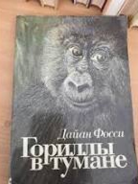 Гориллы в тумане
