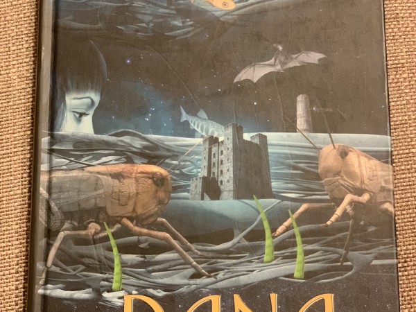 Dana un otrā pasaule