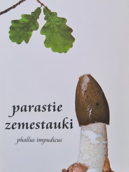Parastie zemestauki