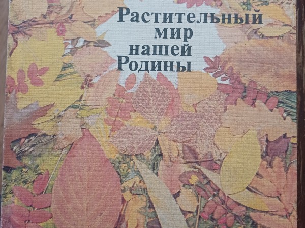 Pастительный мир нашей Pодины