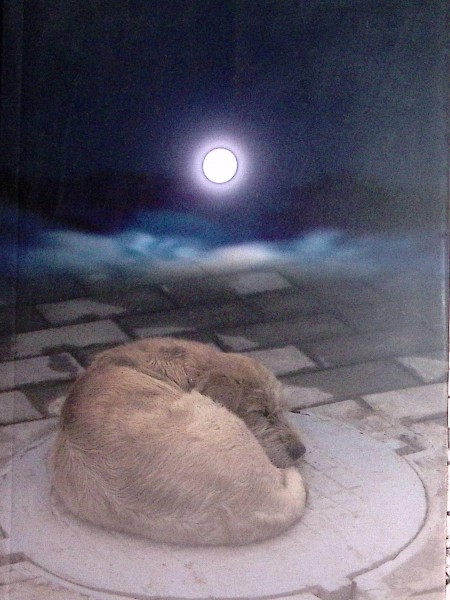 Сфера Хевисайда /Hevisaida sfēra