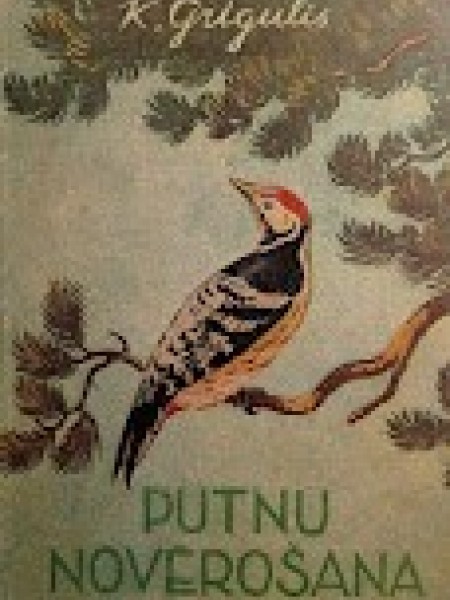 Putnu novērošana dabā