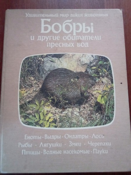 Бобры и другие обитатели пресных вод