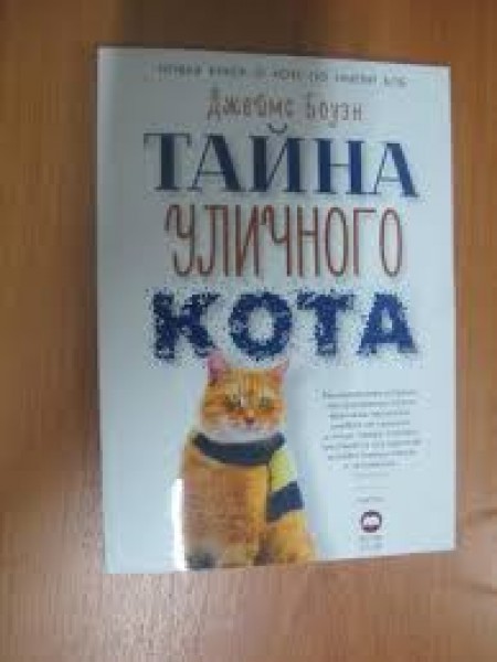 тайна уличного кота