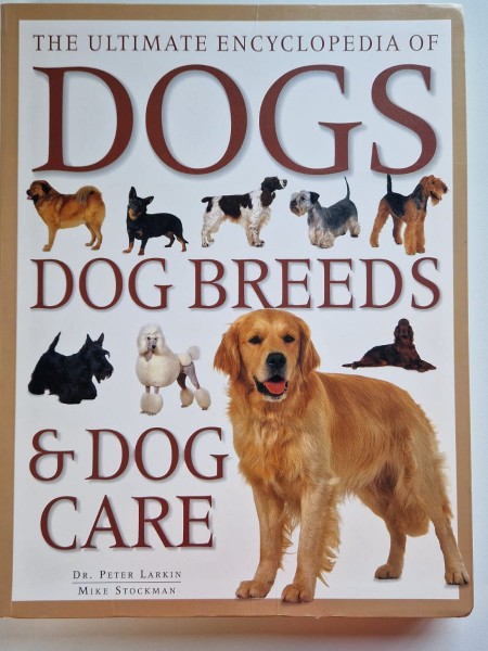 Brāļu Grimmu PASAKAS