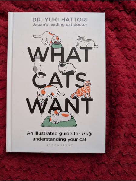 What cats want
