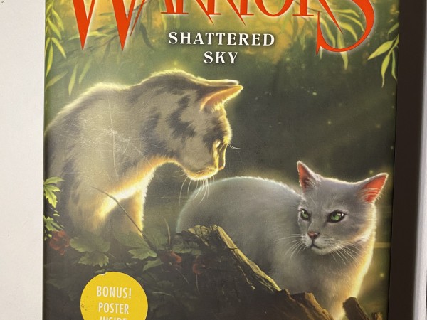 Warriors Shattered Sky