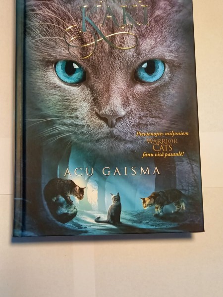 Klanu kaķi acu gaisma