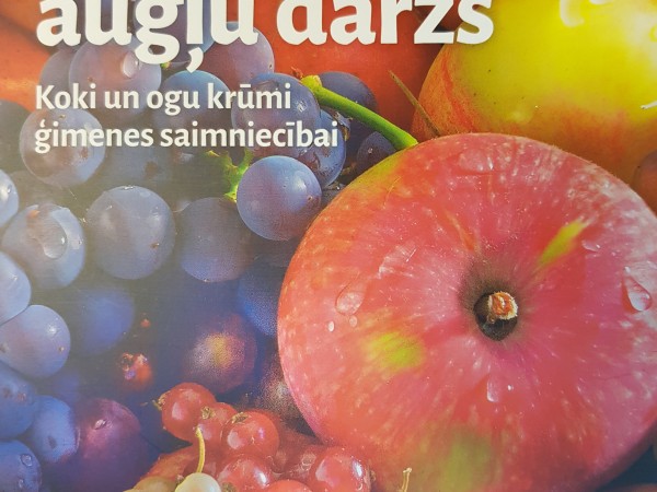 Praktisks augļu dārzs