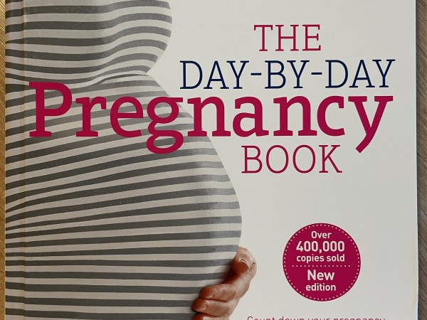 The Day-By-Day Pregnancy Book
