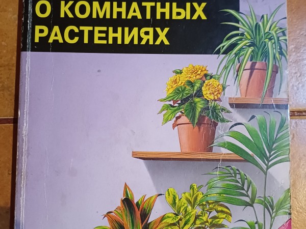 Все о комнатных растениях