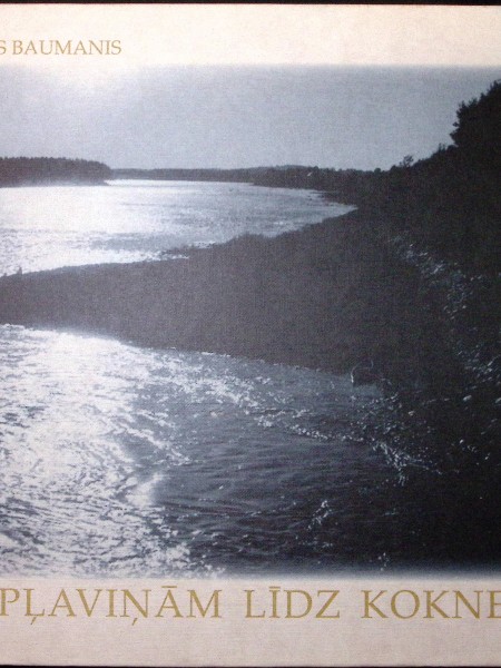 No Pļaviņām līdz Koknesei