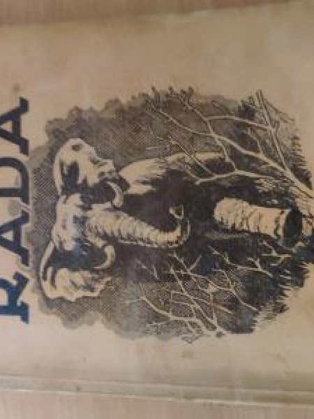 Rada džungļu dēls