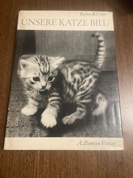 unsere katze bilu
