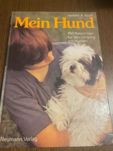 mein hund